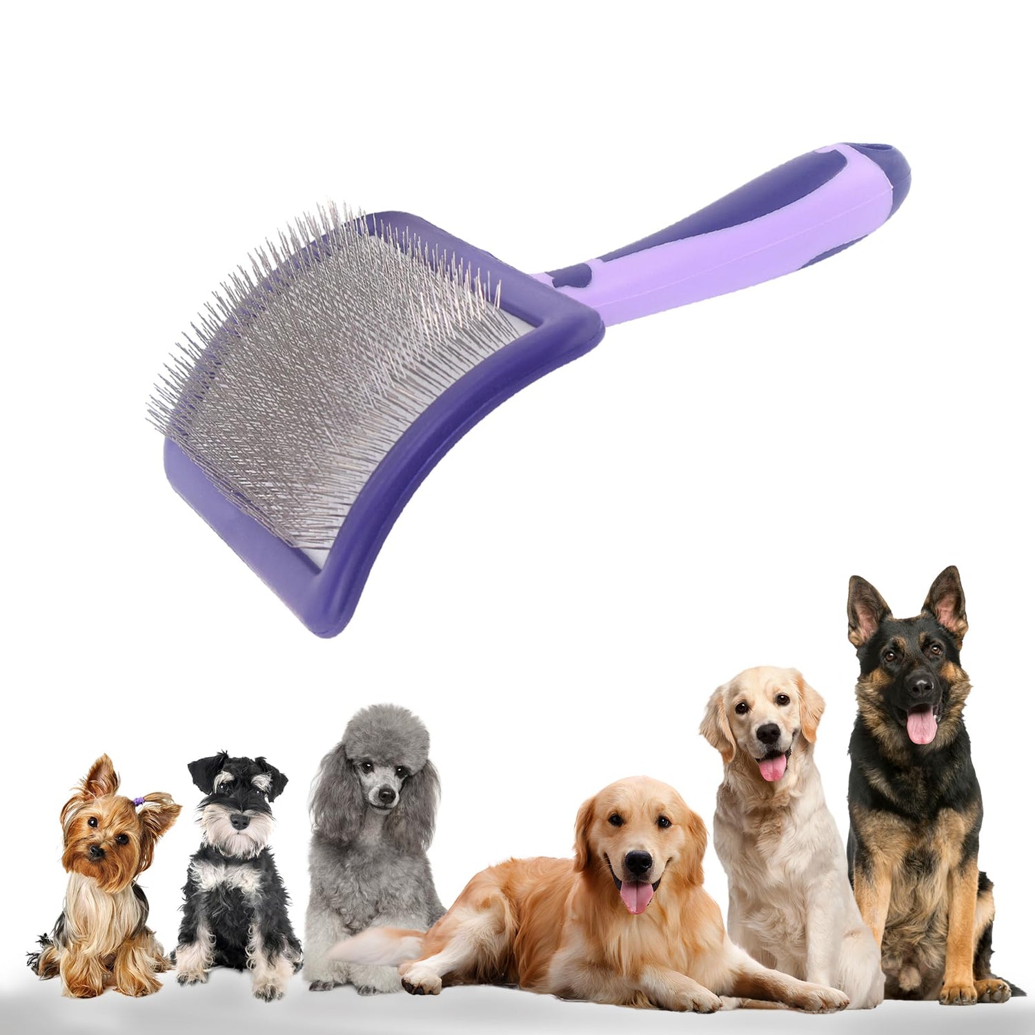 Brushes & Combs