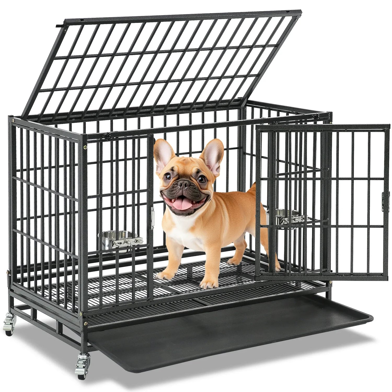 Dog Crates